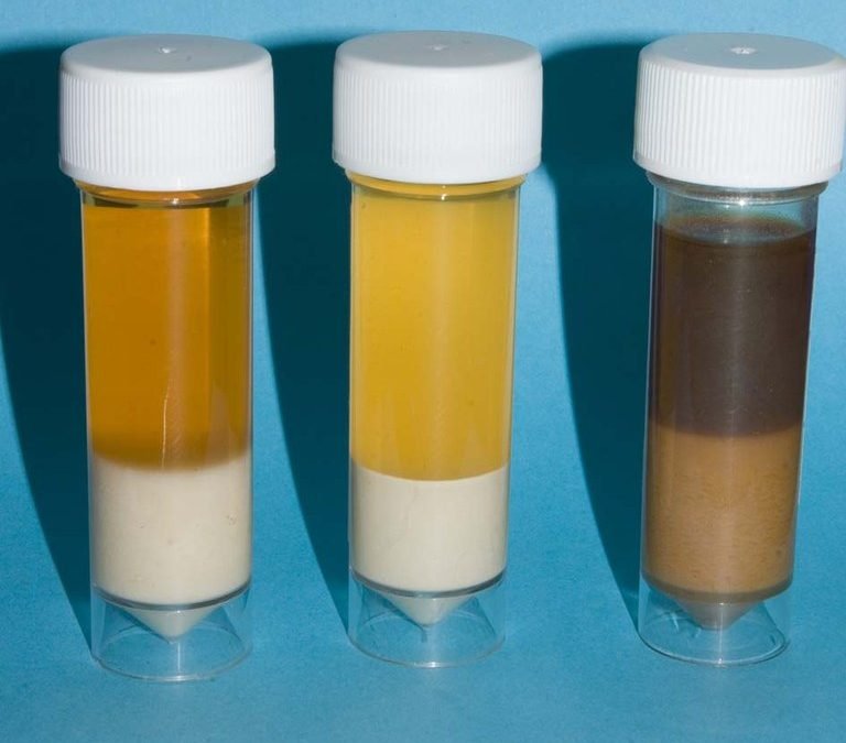 Rabbit urinalysis