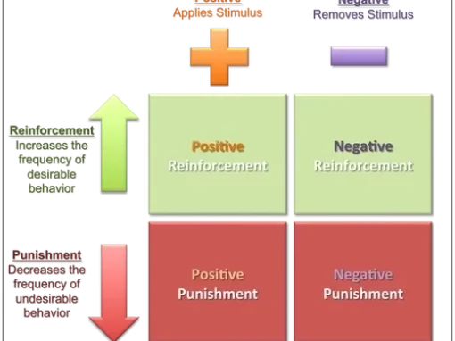 Operant conditioning